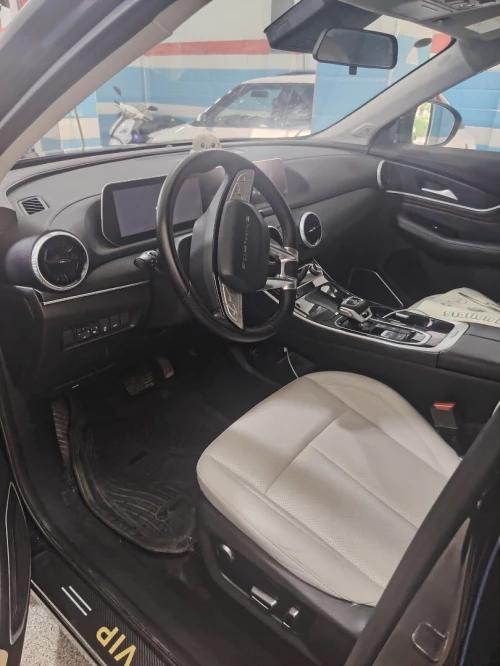 DF Joyear  T5 EVO 2024 Luxury