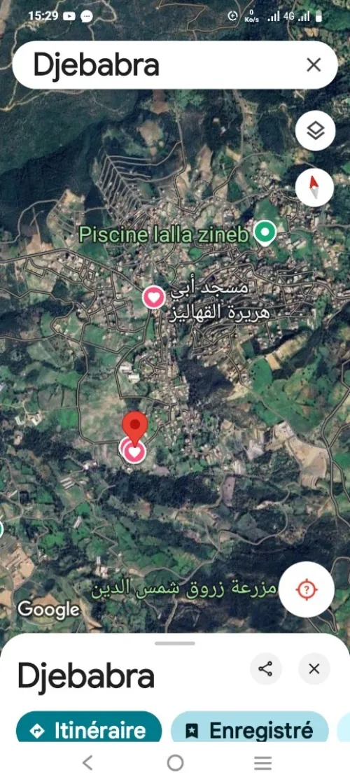 Vente Terrain Blida Meftah