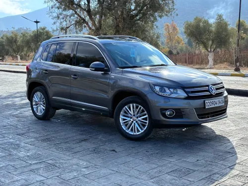 Volkswagen Tiguan 2014 Cup