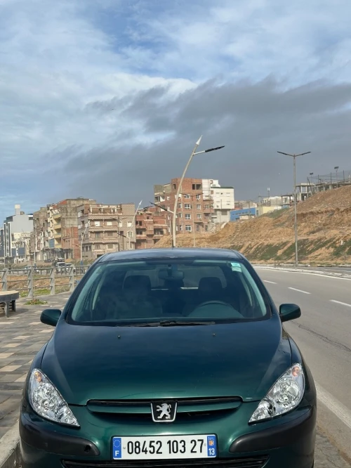 Peugeot 307 2003 XT