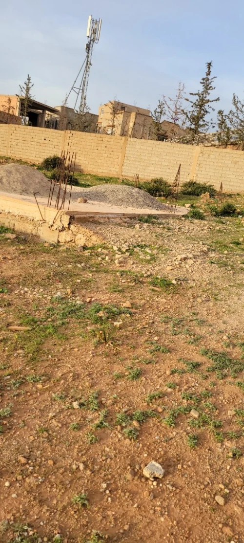 Vente Terrain Tlemcen Beni mester
