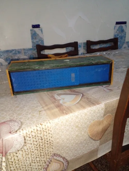 DEUX AQUARIUMS BON PRIX