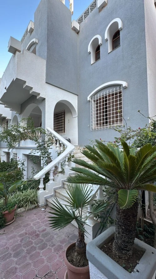 Location Appartement F05 Alger Dely brahim