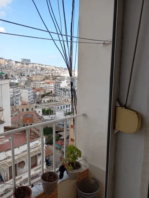 Location Appartement F2 Alger Alger centre