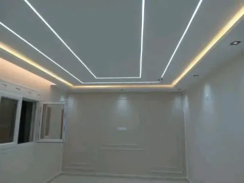 Construction et aménagement antérieur extérieur et espace vert +piscine