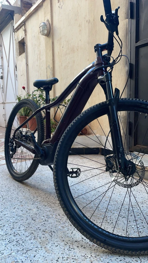 Trek Power flay 5 2024