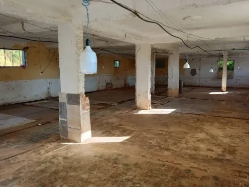 Vente Terrain Blida Chiffa