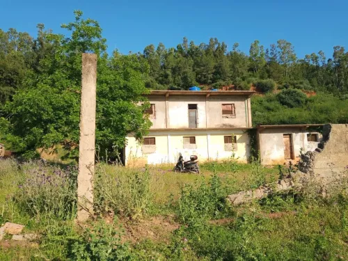 Vente Terrain Blida Chiffa