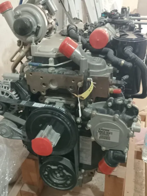 Motor catrpilar et parkinse