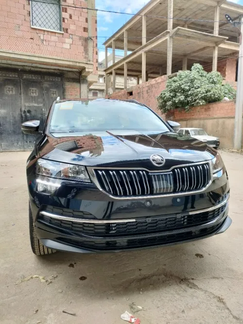 Skoda Karoq 2025 