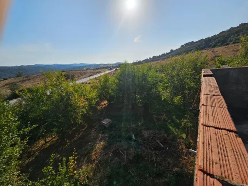 Location Local Skikda Oued zehour