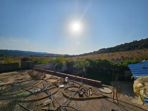 Location Local Skikda Oued zehour