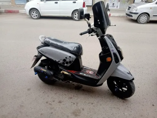 VMS ESTATE X 2024