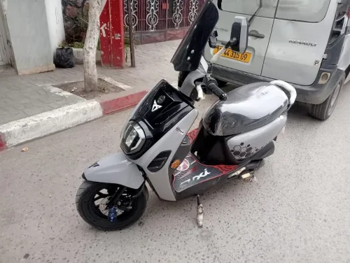 VMS ESTATE X 2024