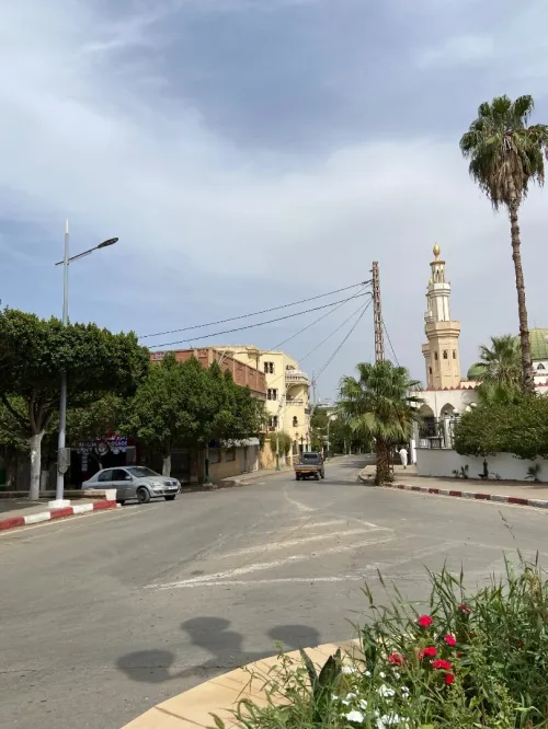 Vente Terrain Chlef Chlef