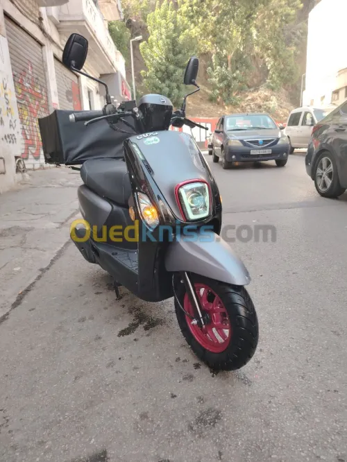 vms CUXI 2 2025