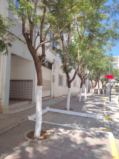 Location Appartement F3 Alger Birkhadem