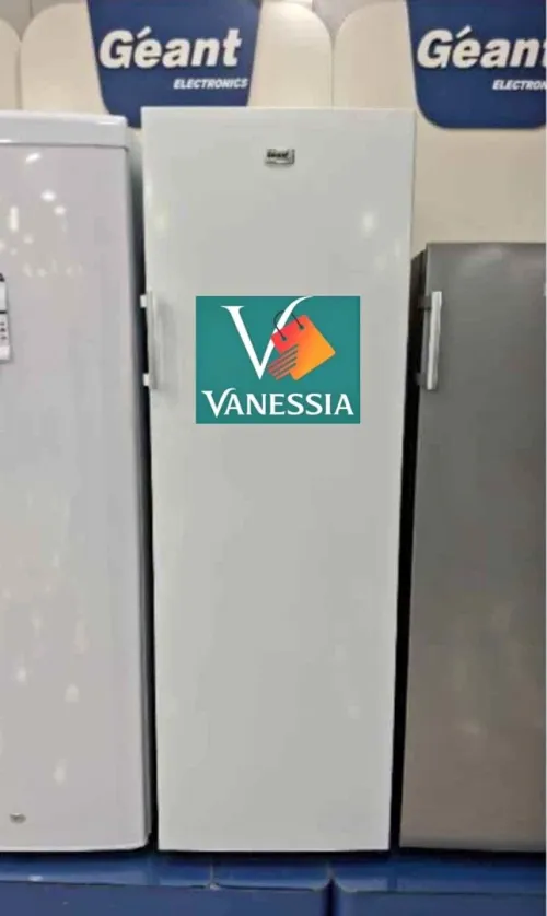 Vente congelateur vertical