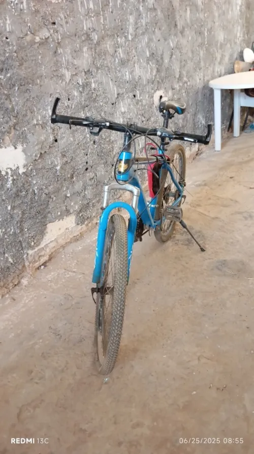 Vélo Bitwine (xix)