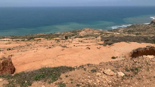 Vente Terrain Tlemcen Msirda fouaga
