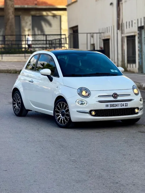 Fiat 500 2024 Dotchi vita