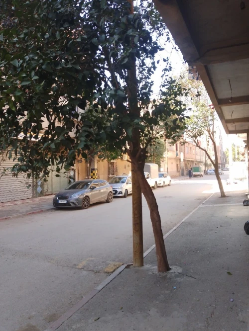 Vente Villa Alger Baraki