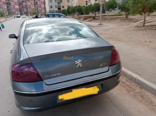 Peugeot 407 2006 407