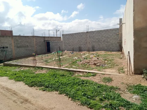 Vente Terrain Tébessa Bir el mokadem