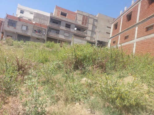Vente Terrain Alger Khraissia