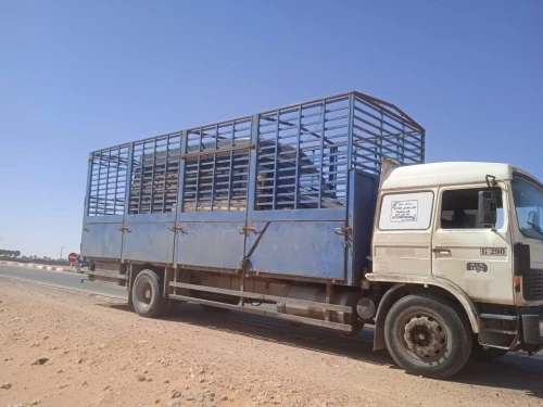 Renault G290 1984