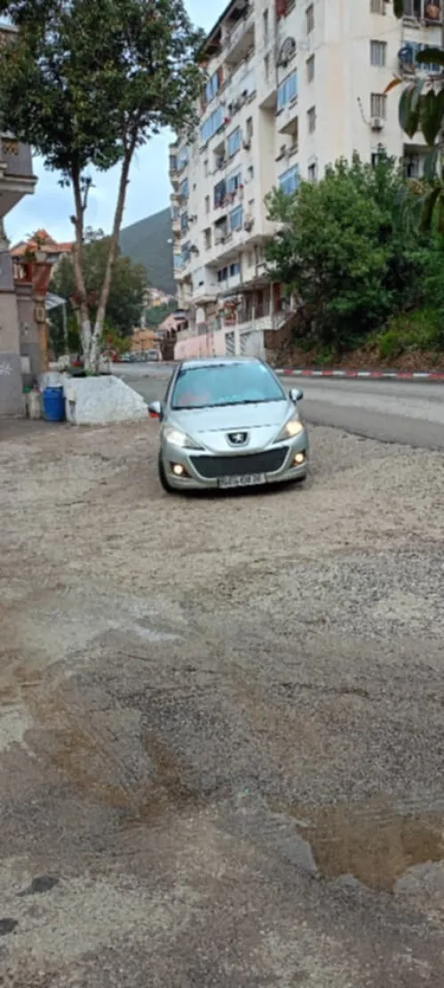 Peugeot 207 2008 207