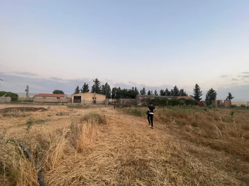 Vente Terrain Agricole Khenchela Mtoussa