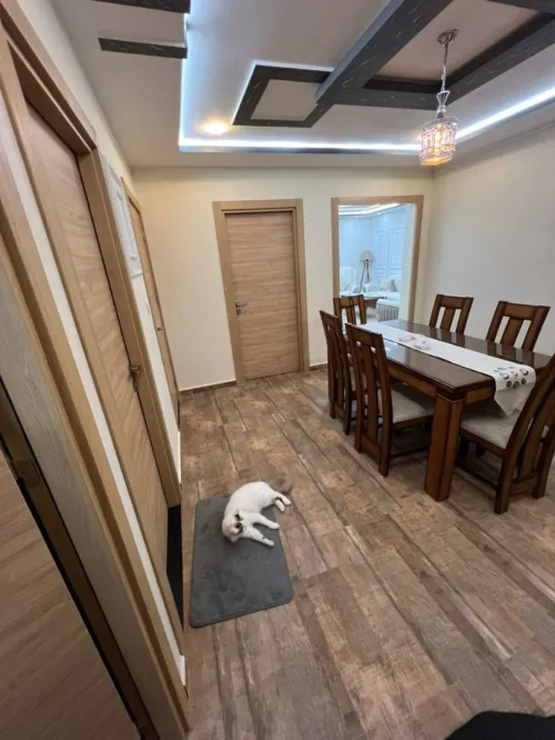 Vente Appartement F3 F4 Alger Chevalley