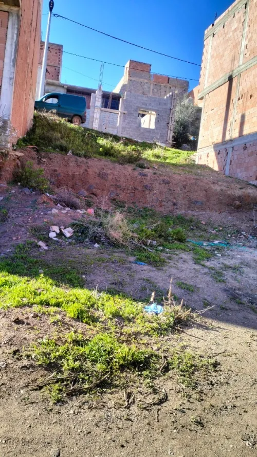 Vente Terrain Agricole Aïn Témouchent Oulhaca el gheraba