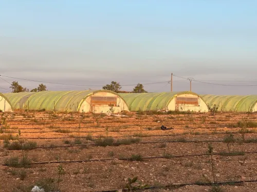 Vente Terrain Agricole Sidi Bel Abbès Tabla