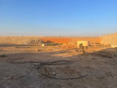 Vente Terrain Agricole Sidi Bel Abbès Tabla