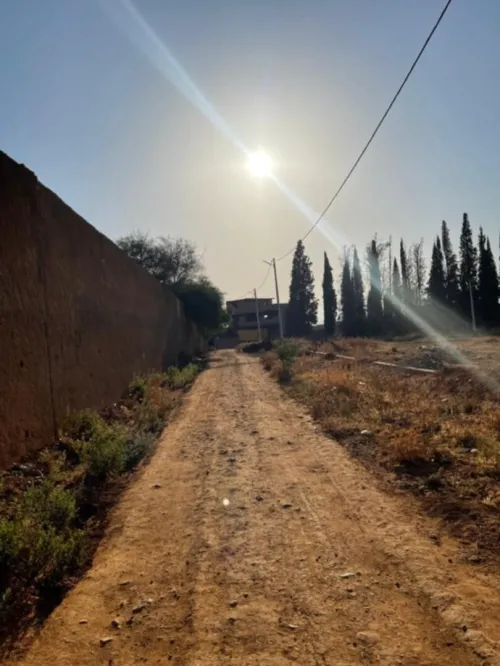 Vente Terrain Tlemcen Beni mester