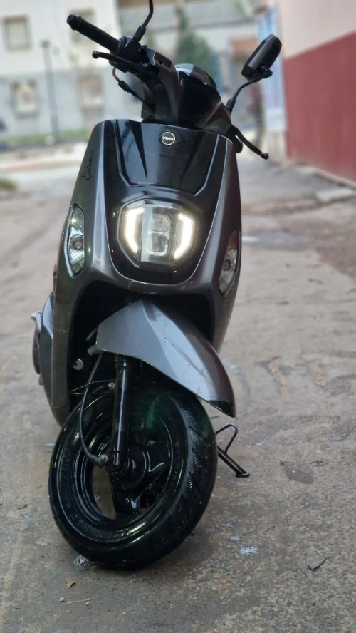 Vms Estate x 2022