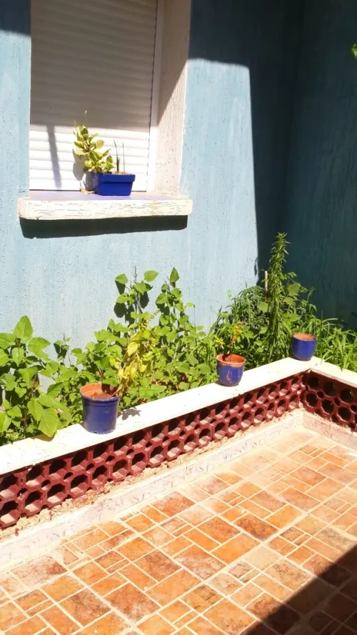 Vente Bungalow F3 Oran Arzew