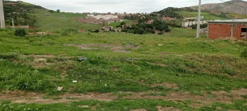 Location Terrain Guelma Hammam nbail