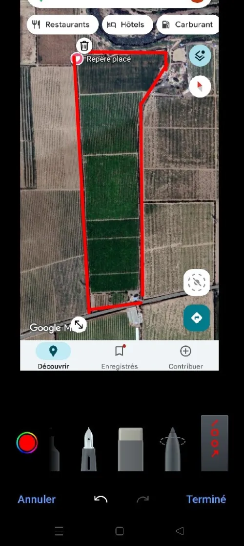 Vente Terrain Agricole Aïn Defla Djelida
