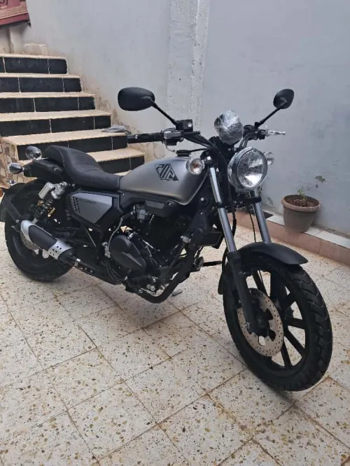 K-light 202 2025