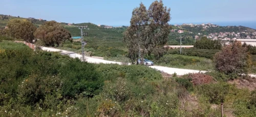 Vente Terrain Tizi Ouzou Iflissen