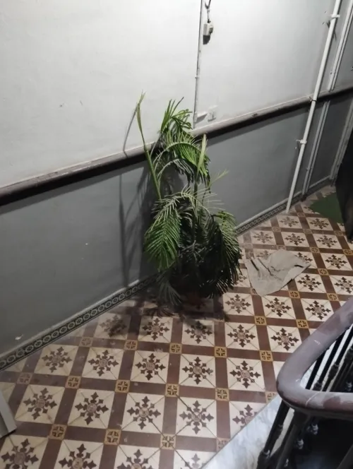 Location Appartement F4 Alger Alger centre