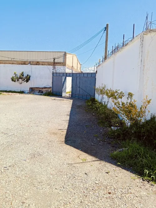 Location Hangar - Usine Blida Guerrouaou