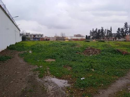 Vente Terrain Blida Soumaa