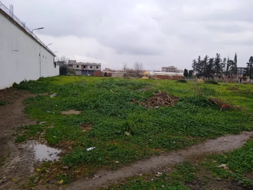 Vente Terrain Blida Soumaa