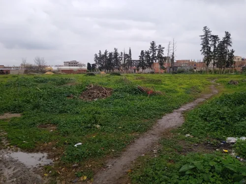 Vente Terrain Blida Soumaa
