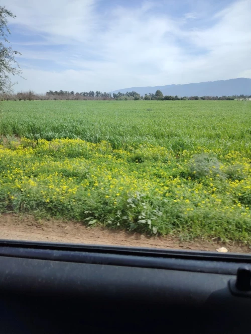 TERRAIN AGRICOLE EAC HAK IMTIAZ 