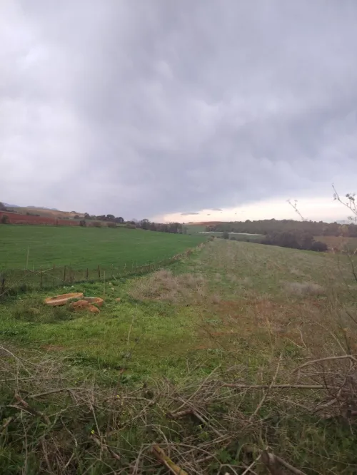 Terrain agricole EAI Hak imtiaz 